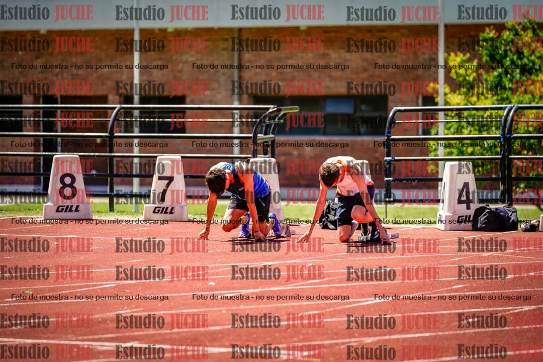 Fotos de los 110 m con vallas de varones