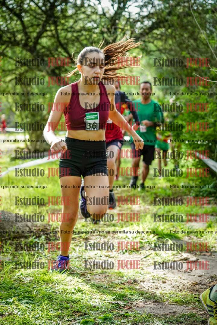Fotos en el circuito