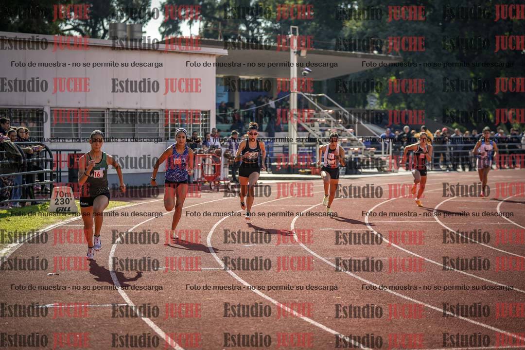 Fotos de los 800 m llanos de mujeres