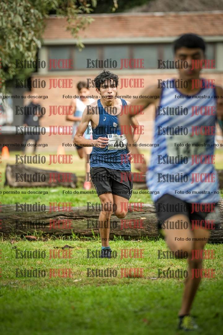 Fotos en el circuito