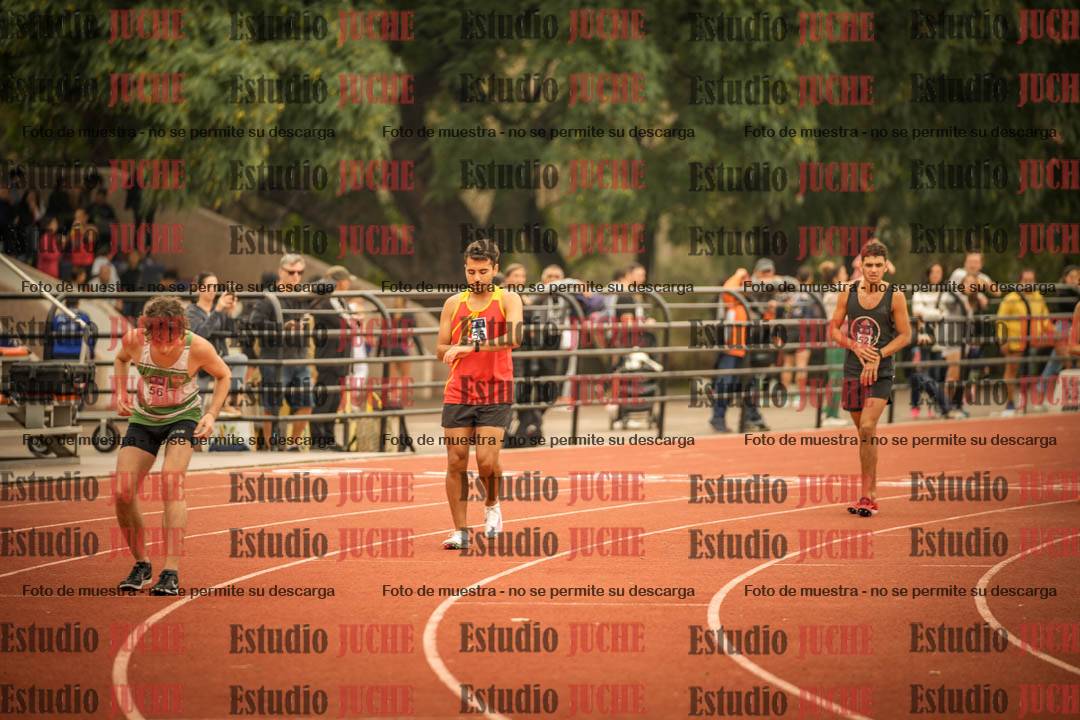 Fotos de los 800 m llanos de varones
