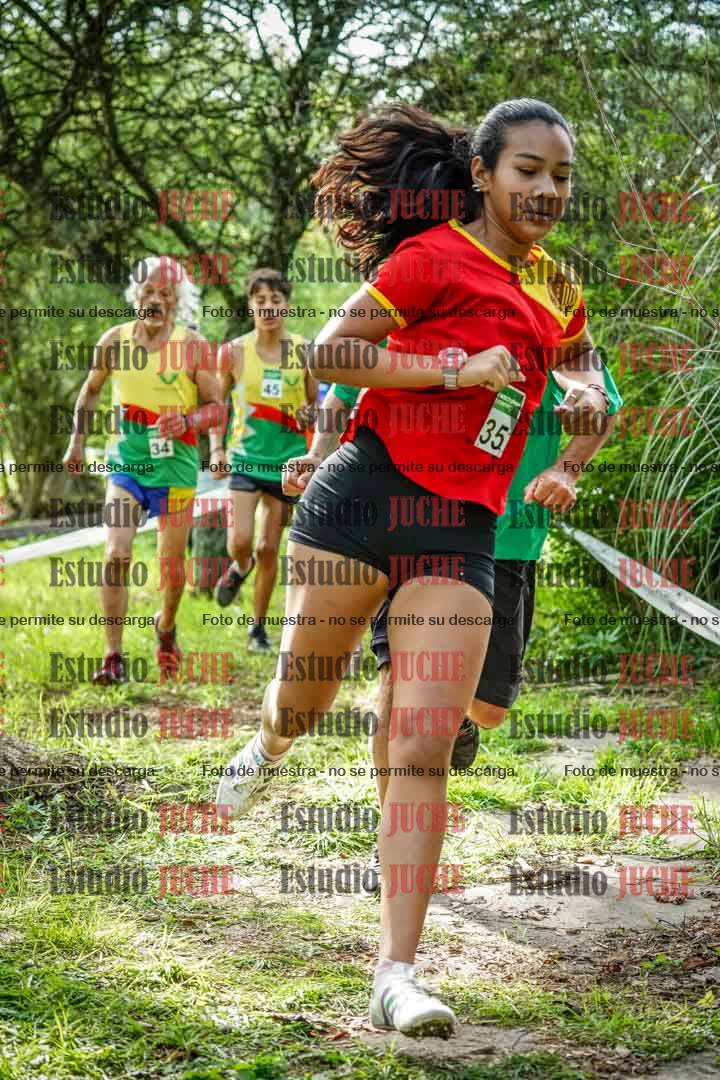 Fotos en el circuito