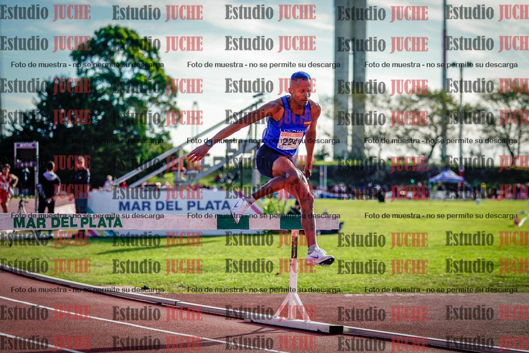 Fotos de los 3000 m con obstáculos de varones