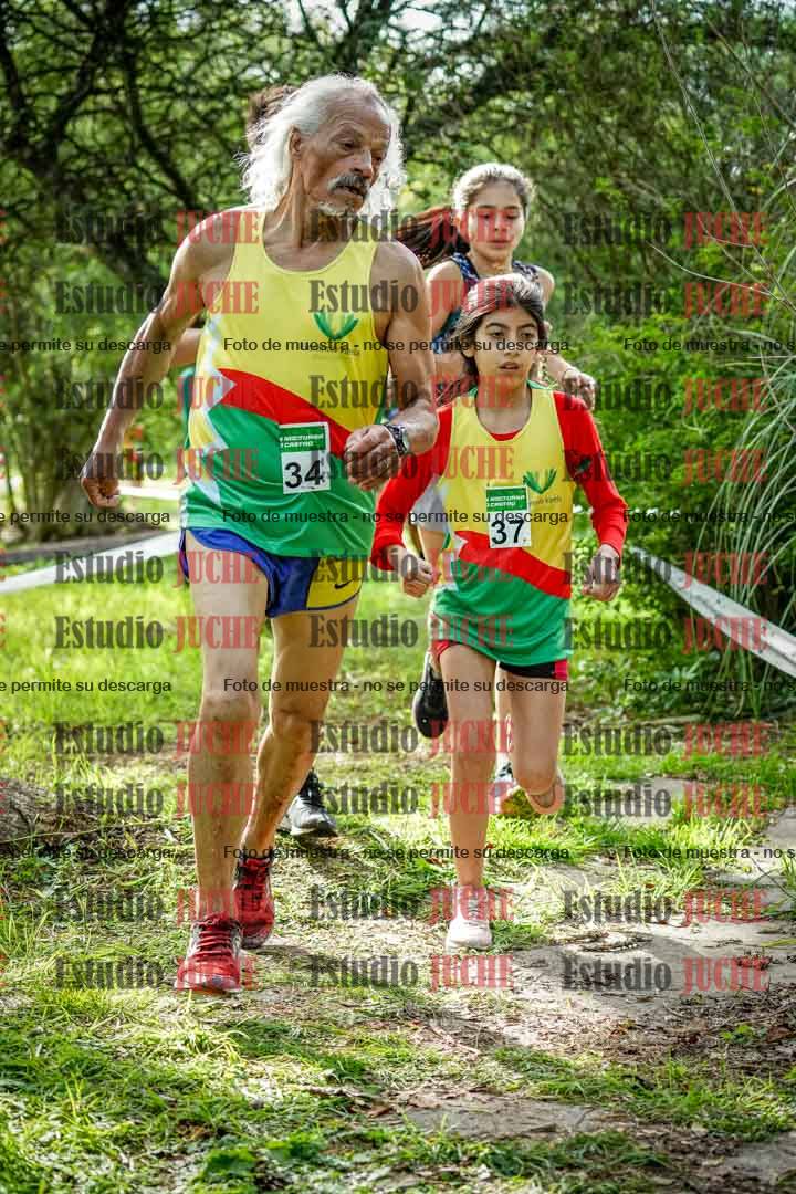 Fotos en el circuito
