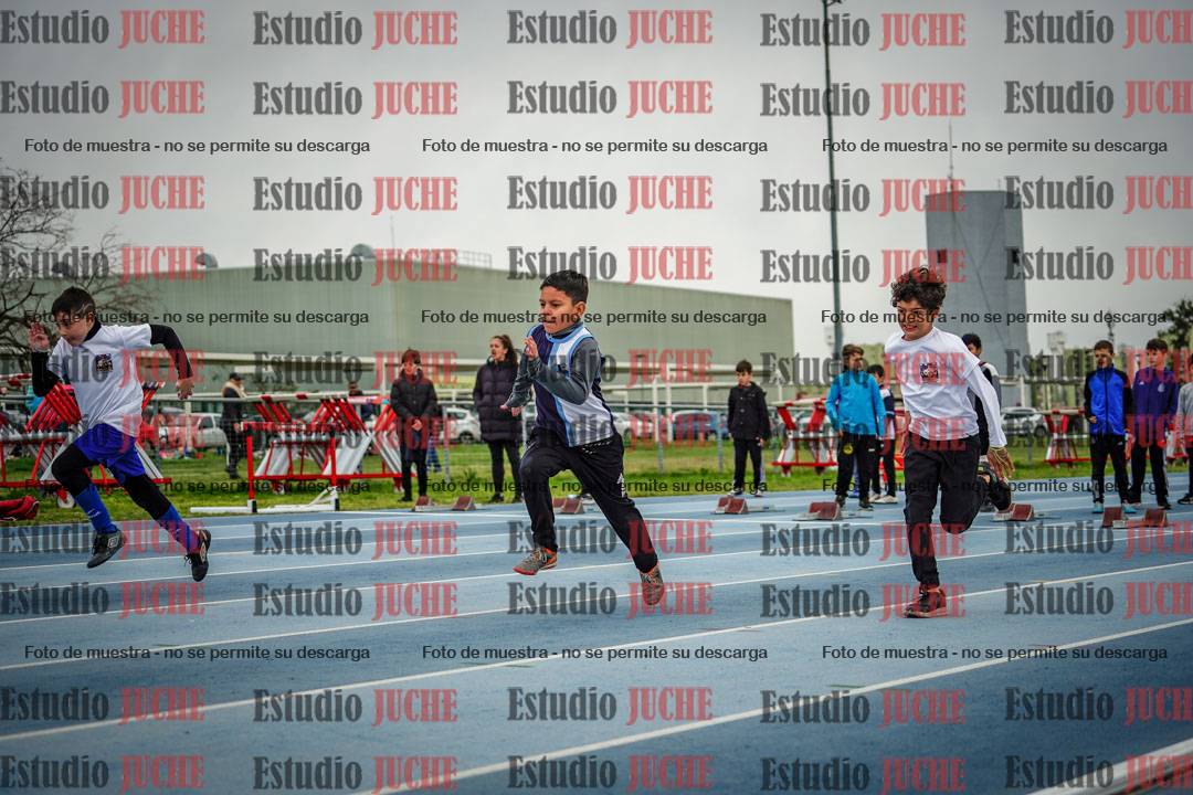 Fotos de los 50 m llanos de varones - U12