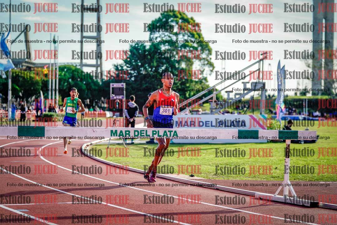 Fotos de los 3000 m con obstáculos de varones