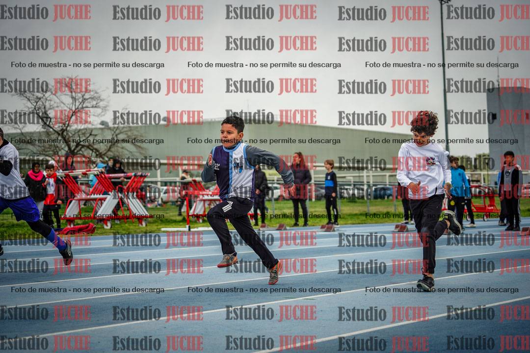 Fotos de los 50 m llanos de varones - U12