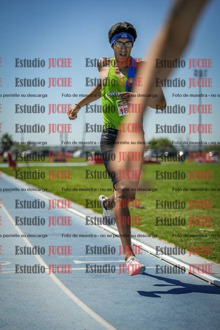 Fotos de los 800 m llanos de varones