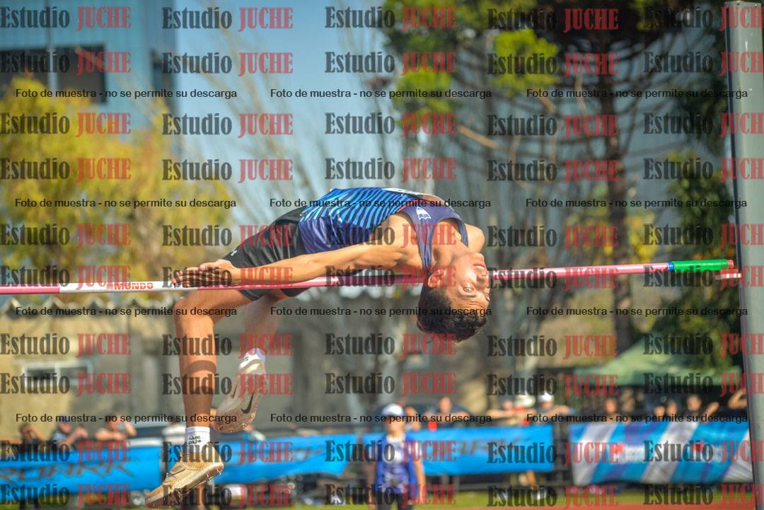 Fotos del salto en alto de varones