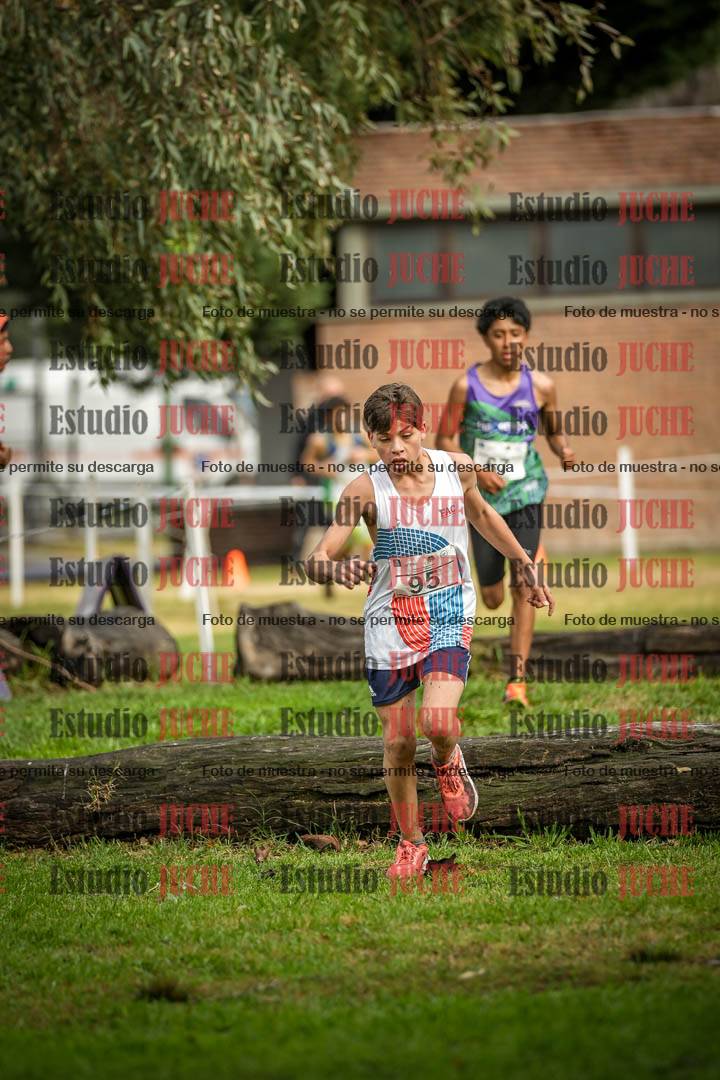 Fotos en el circuito