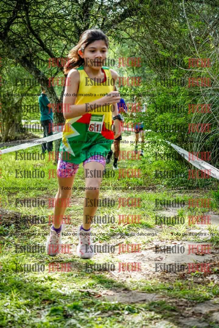 Fotos en el circuito