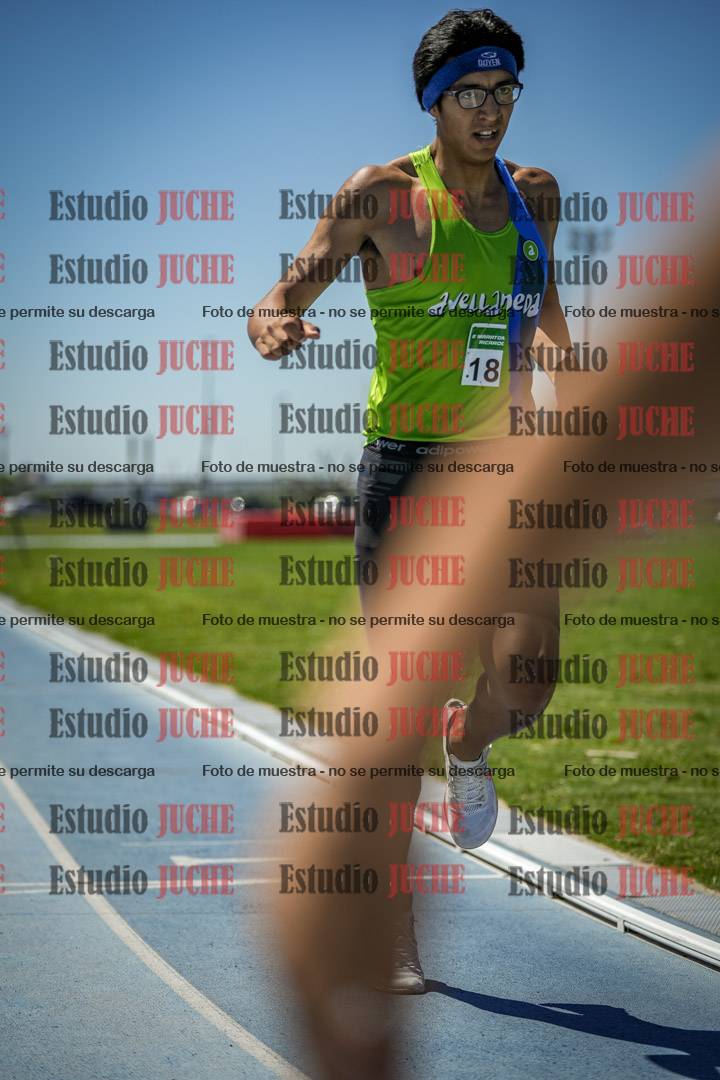 Fotos de los 800 m llanos de varones