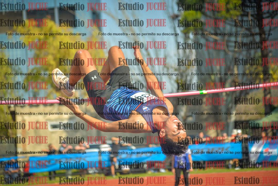 Fotos del salto en alto de varones