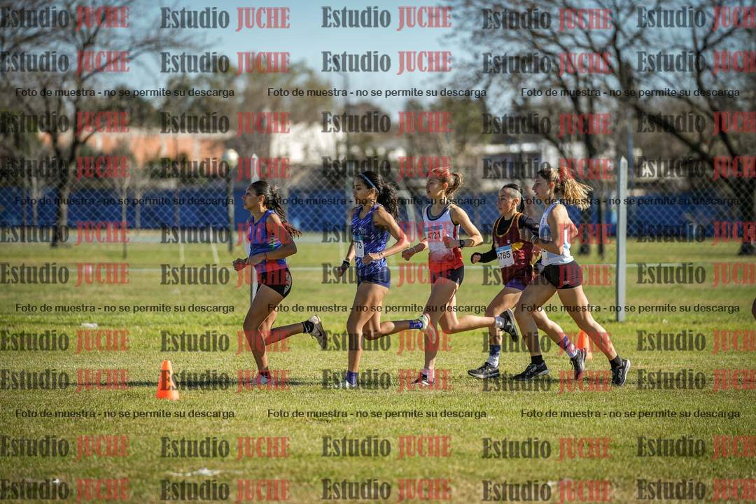 Fotos en de la largada