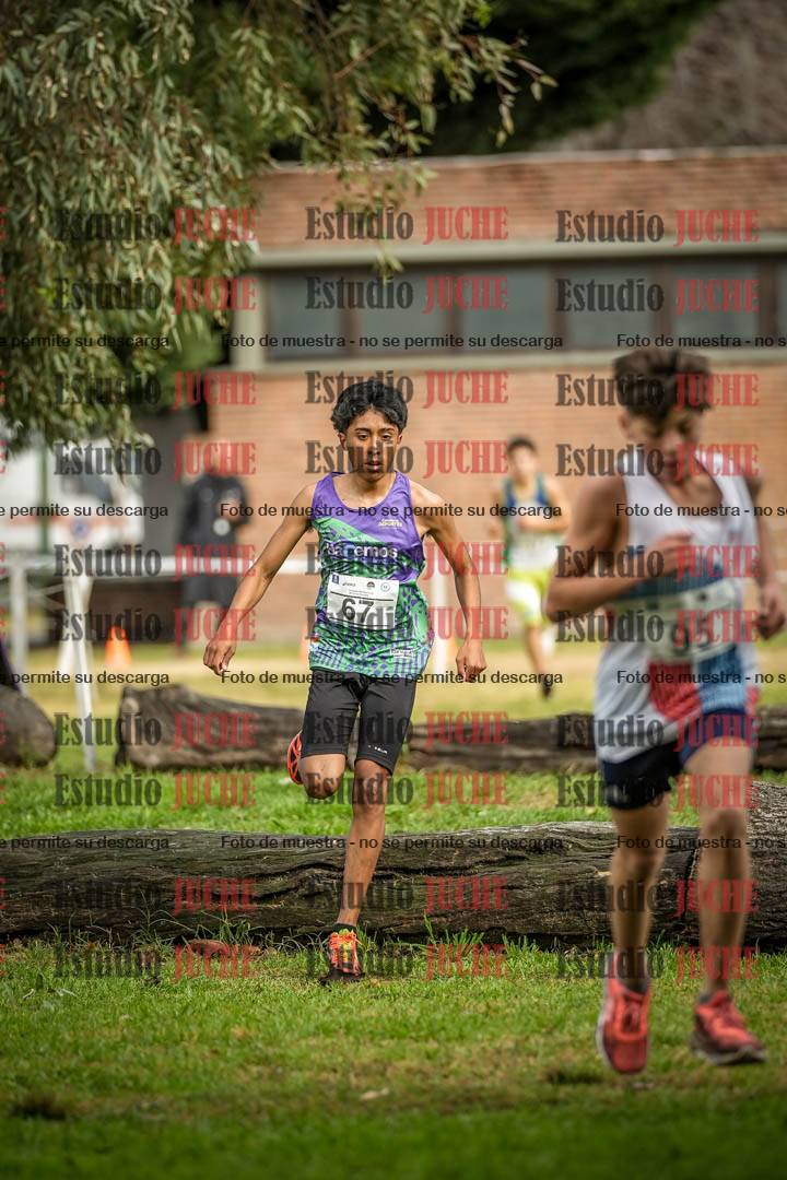 Fotos en el circuito