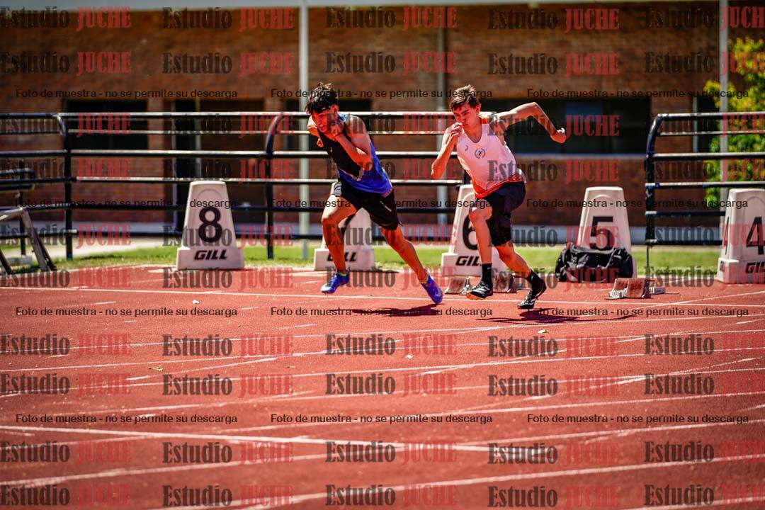 Fotos de los 110 m con vallas de varones