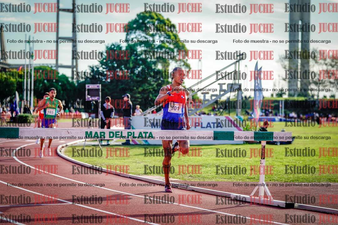 Fotos de los 3000 m con obstáculos de varones