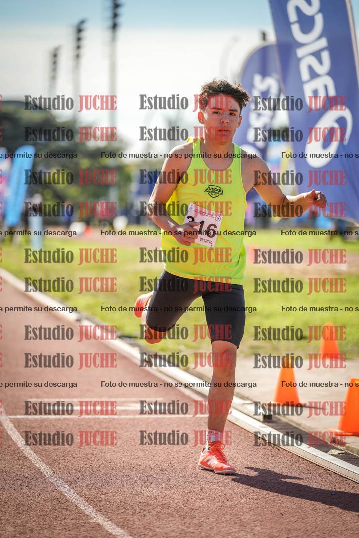 Fotos de los 800 m llanos de varones