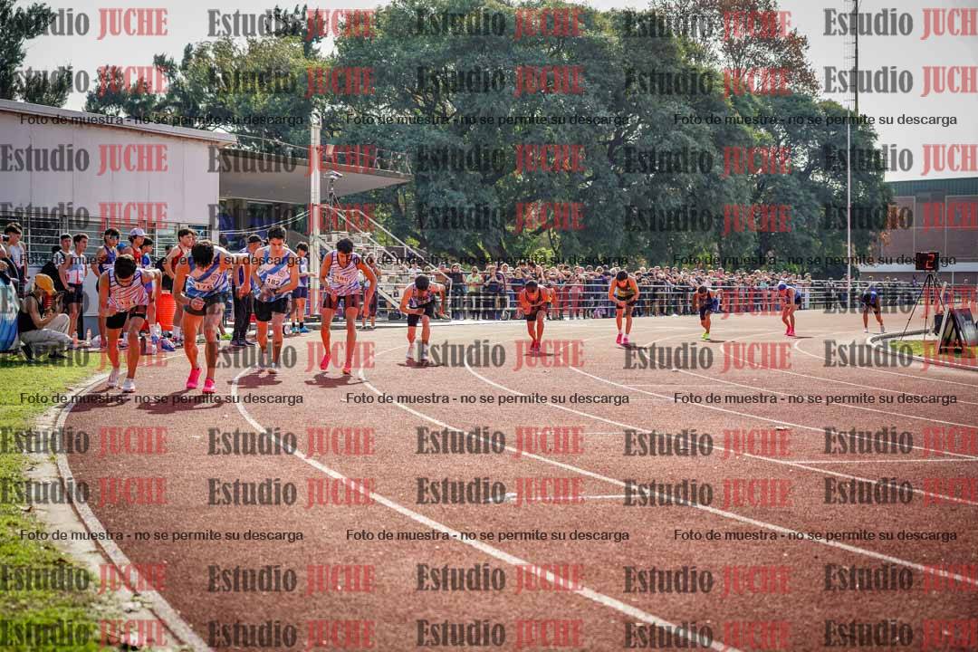 Fotos de los 800 m llanos de varones