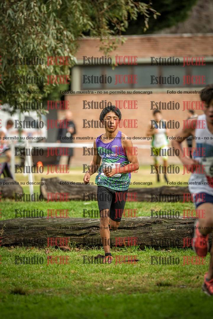 Fotos en el circuito