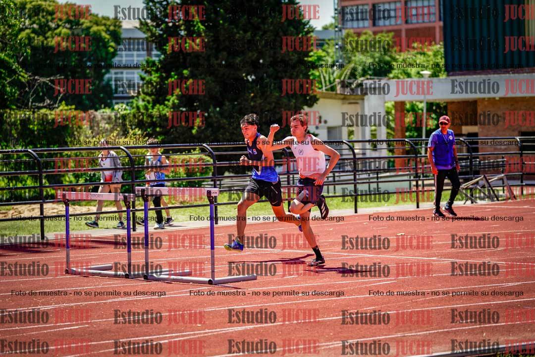 Fotos de los 110 m con vallas de varones