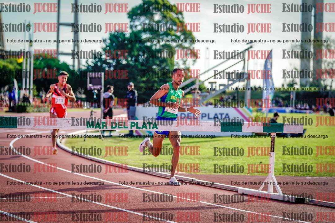 Fotos de los 3000 m con obstáculos de varones