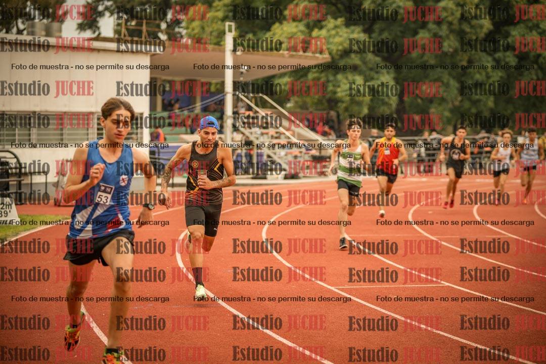 Fotos de los 800 m llanos de varones