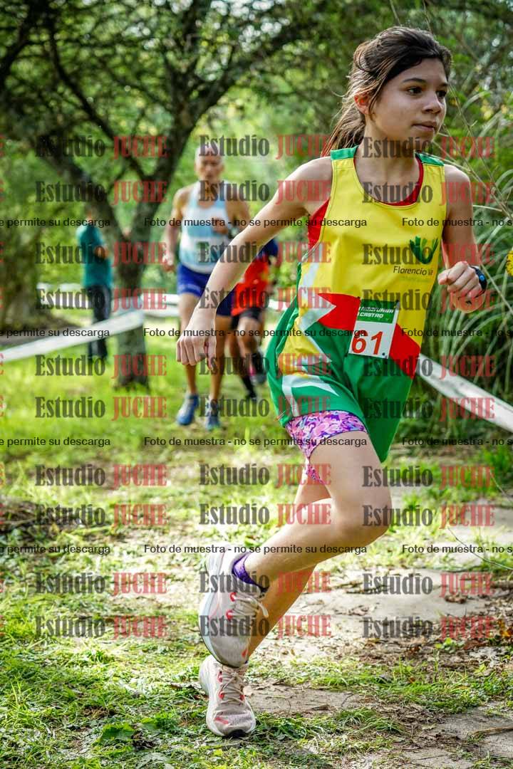 Fotos en el circuito