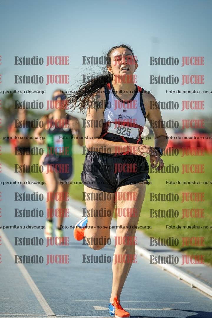 Fotos de los 1500 m llanos de mujeres