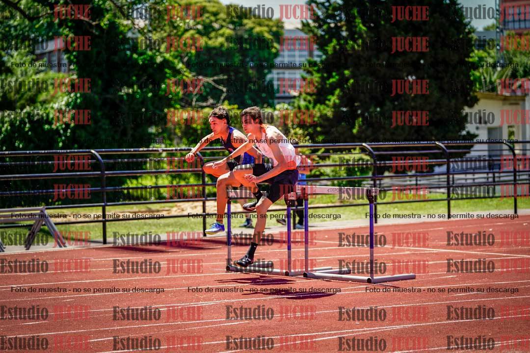 Fotos de los 110 m con vallas de varones