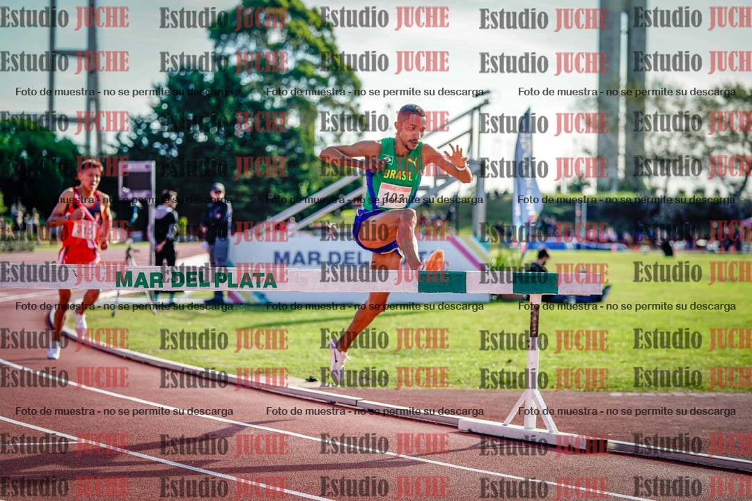 Fotos de los 3000 m con obstáculos de varones
