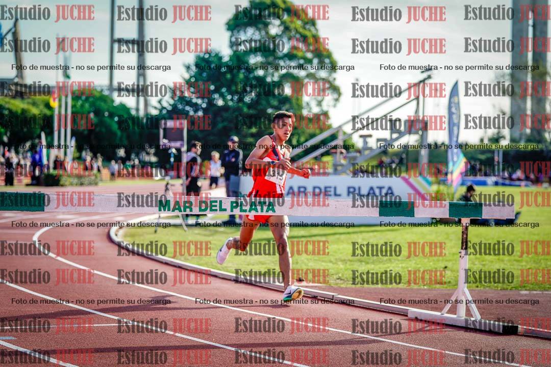 Fotos de los 3000 m con obstáculos de varones