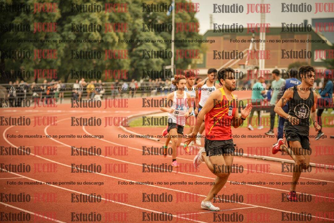Fotos de los 800 m llanos de varones