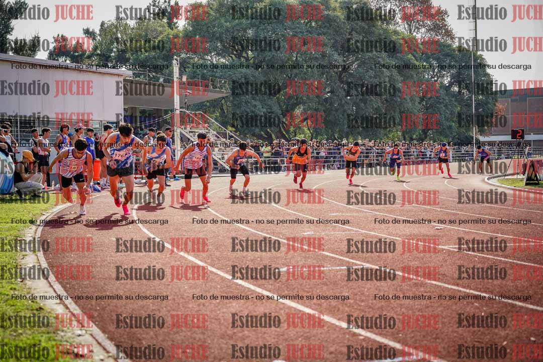 Fotos de los 800 m llanos de varones