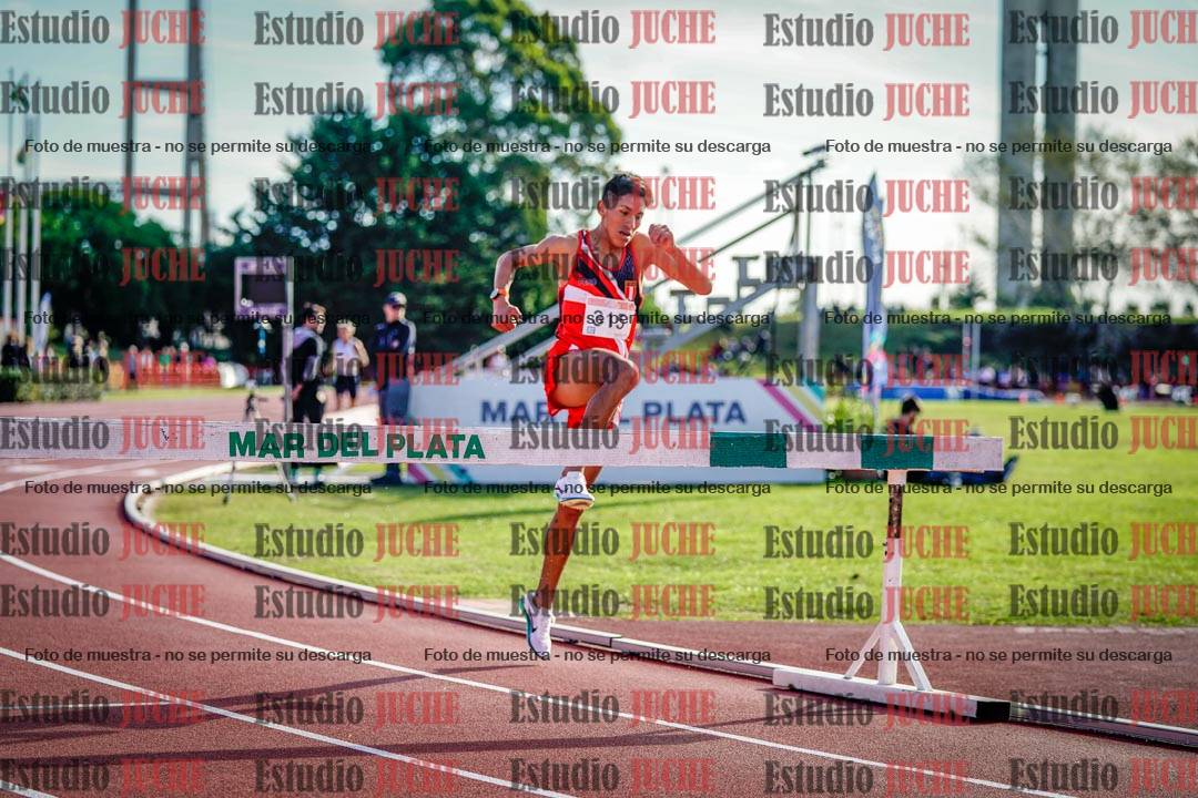 Fotos de los 3000 m con obstáculos de varones