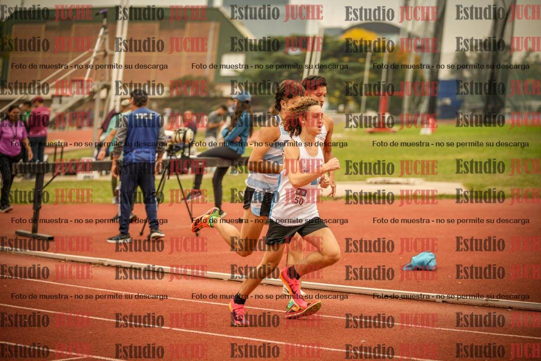 Fotos de los 800 m llanos de varones