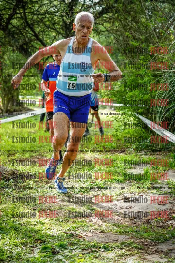 Fotos en el circuito