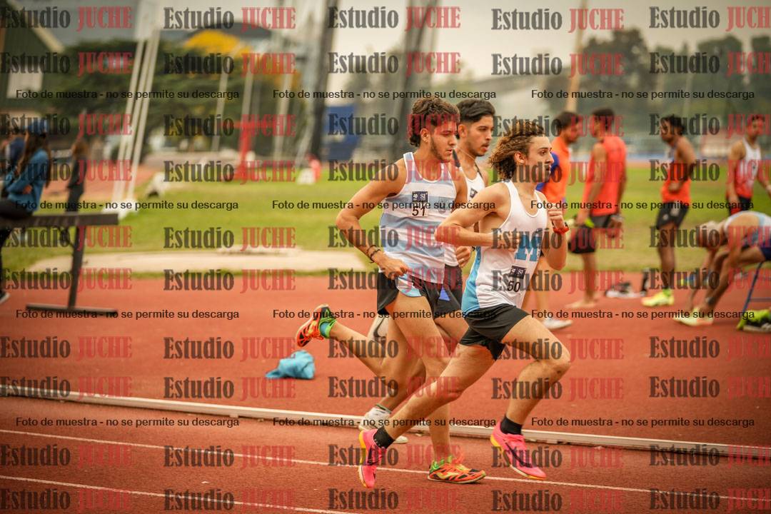 Fotos de los 800 m llanos de varones