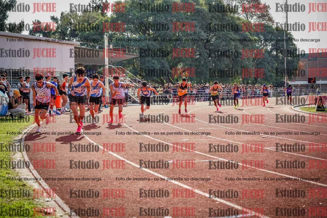 Fotos de los 800 m llanos de varones