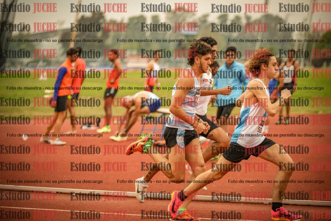 Fotos de los 800 m llanos de varones
