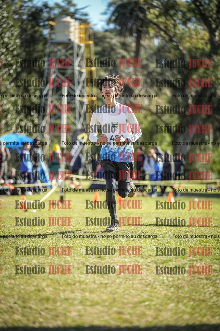 Fotos de la llegada del cross de 2000 m