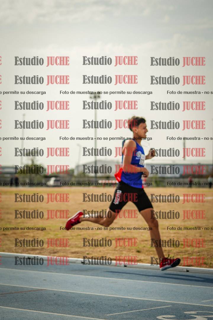 Fotos de los 800 m llanos de varones