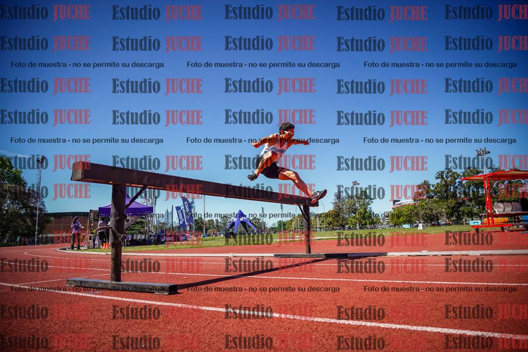 Fotos de los 3000 m con obstáculos de varones