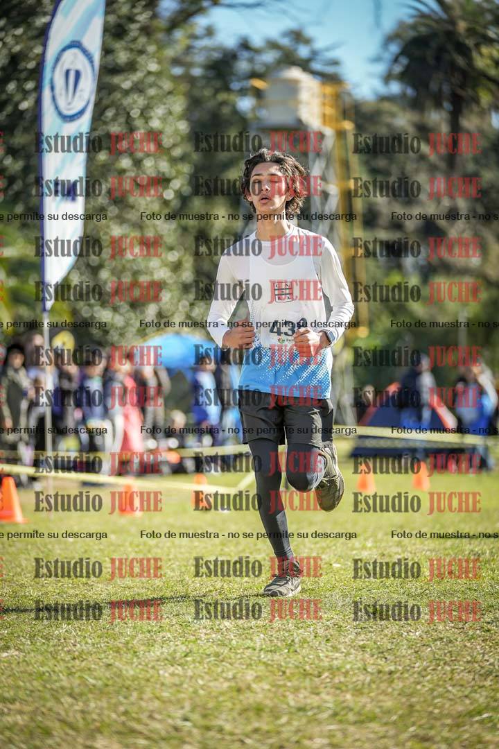 Fotos de la llegada del cross de 2000 m