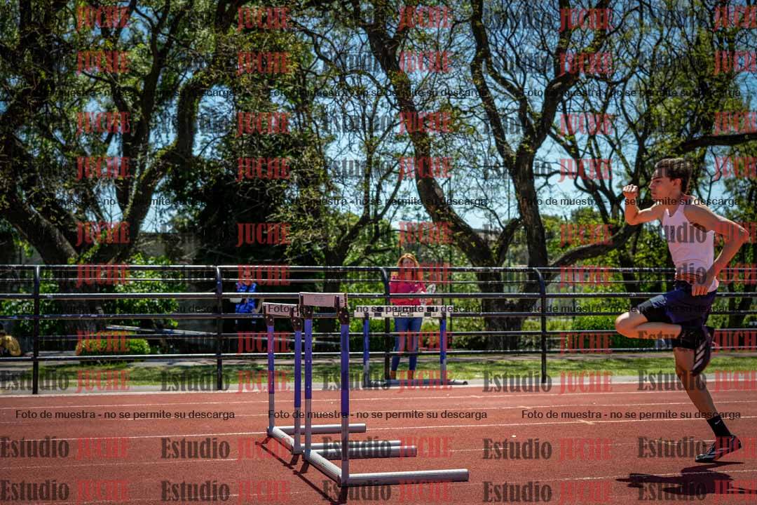 Fotos de los 110 m con vallas de varones