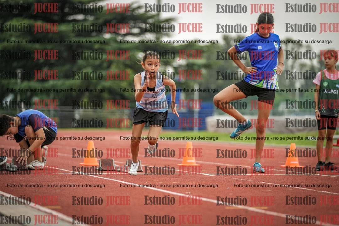 Fotos de los 50 m llanos de mujeres