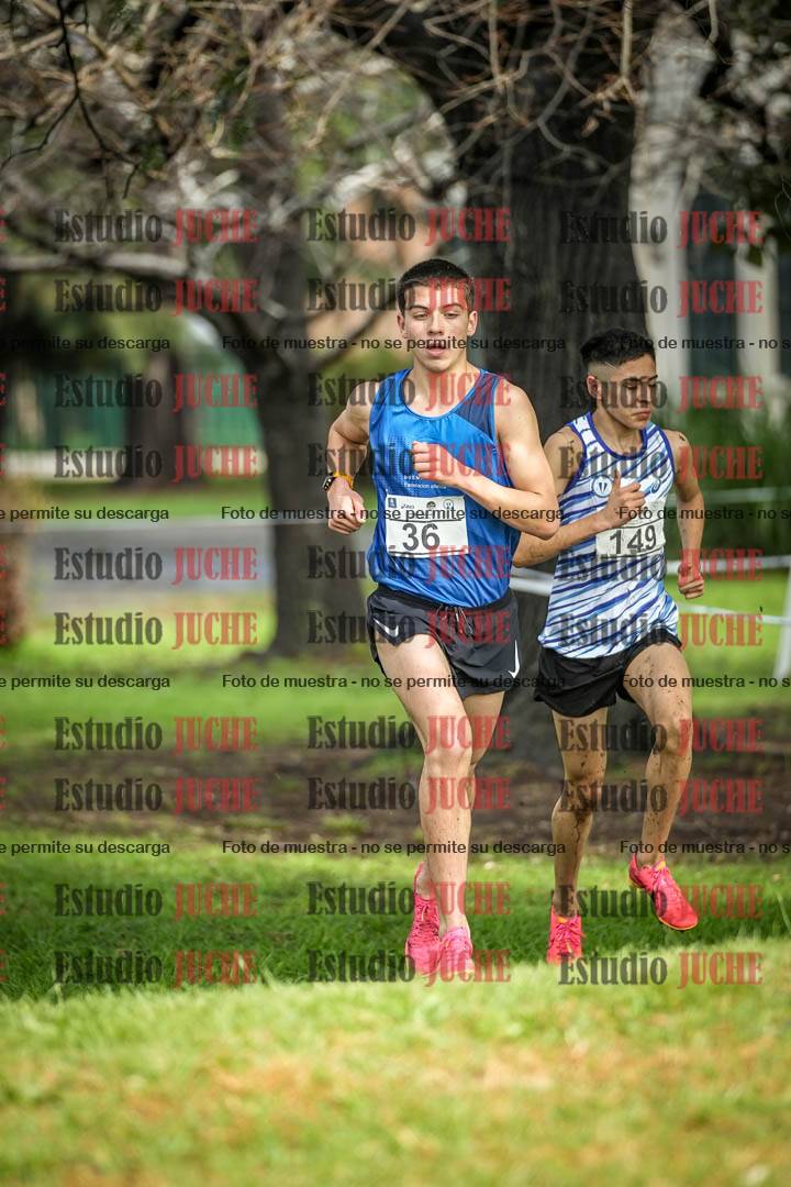 Fotos en el circuito
