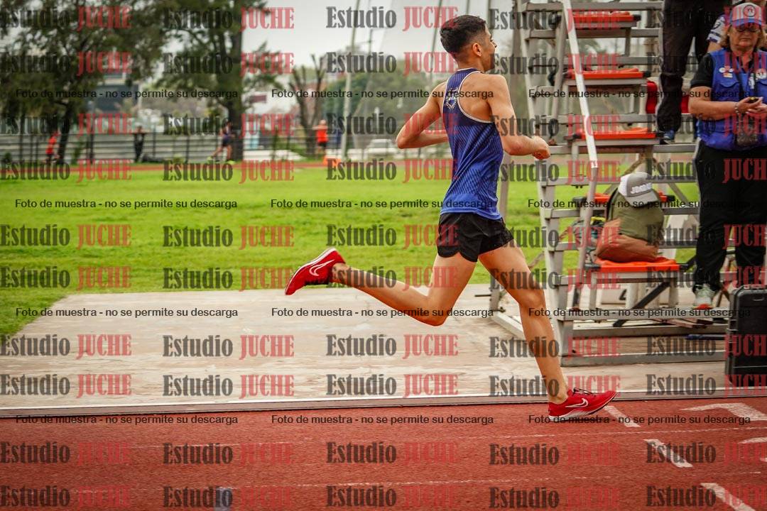 Fotos de los 800 m llanos de varones