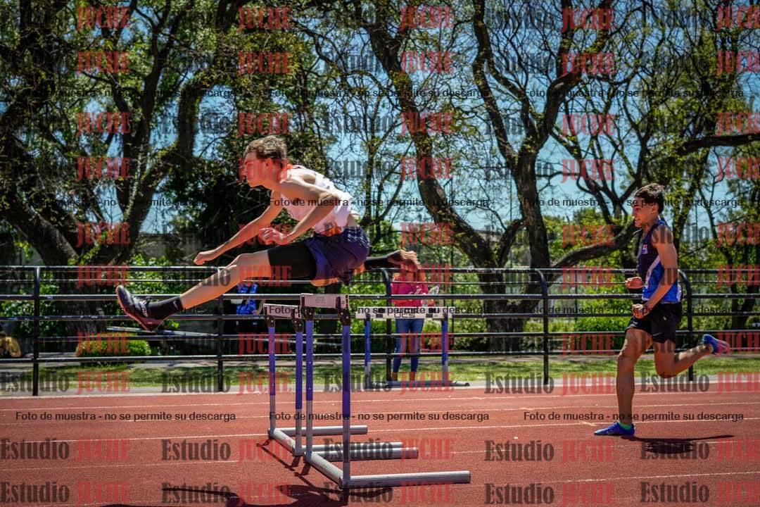 Fotos de los 110 m con vallas de varones