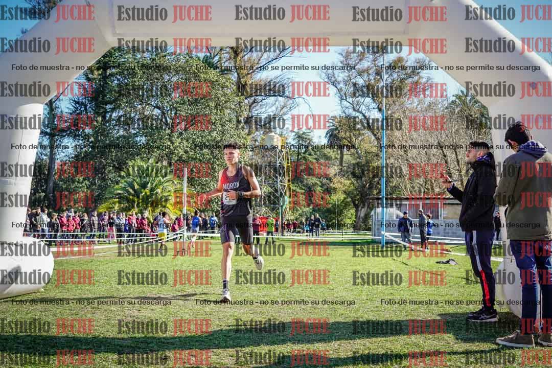 Fotos de la llegada del cross de 6000 m
